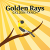 Golden Rays (Instrumental) Main Image