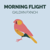Morning Flight (Instrumental) Main Image