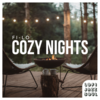 Cozy Nights (Instrumental) Main Image