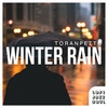 Winter Rain (Instrumental) Main Image