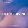 Life is Divine Main Image