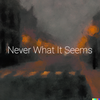Never What It Seems Main Image